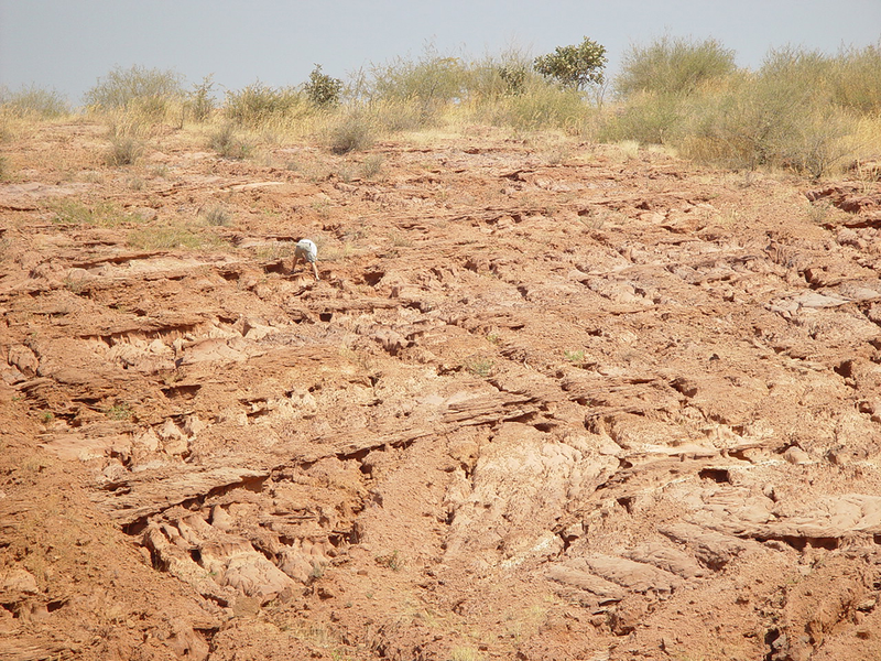 So you wanna be a dinosaur hunter? A wide shot of the southwestern Tanzania locality from which the new dinosaur was excavated. (Image: Eric Roberts)